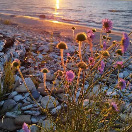 Mereaeaere Rannamaja *