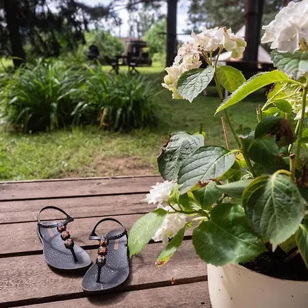 Mereaeaere Rannamaja Puhkemaja Liimala