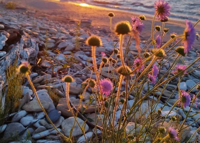 Mereaeaere Rannamaja *